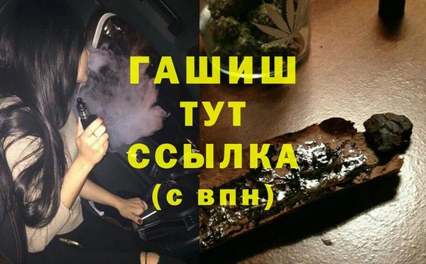 хмурый Магас