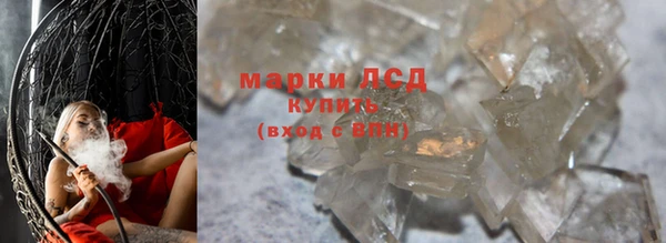 гашик Арсеньев
