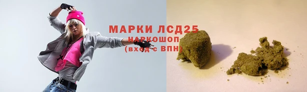 гашик Арсеньев