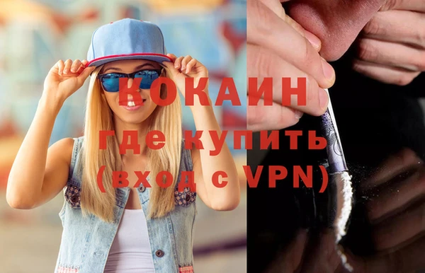 хмурый Магас